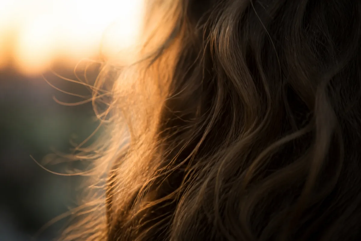Gros plan sur une chevelure brune ondulée, mèches auréolées de petits cheveux rebelles dans une lumière douce de fin de journée