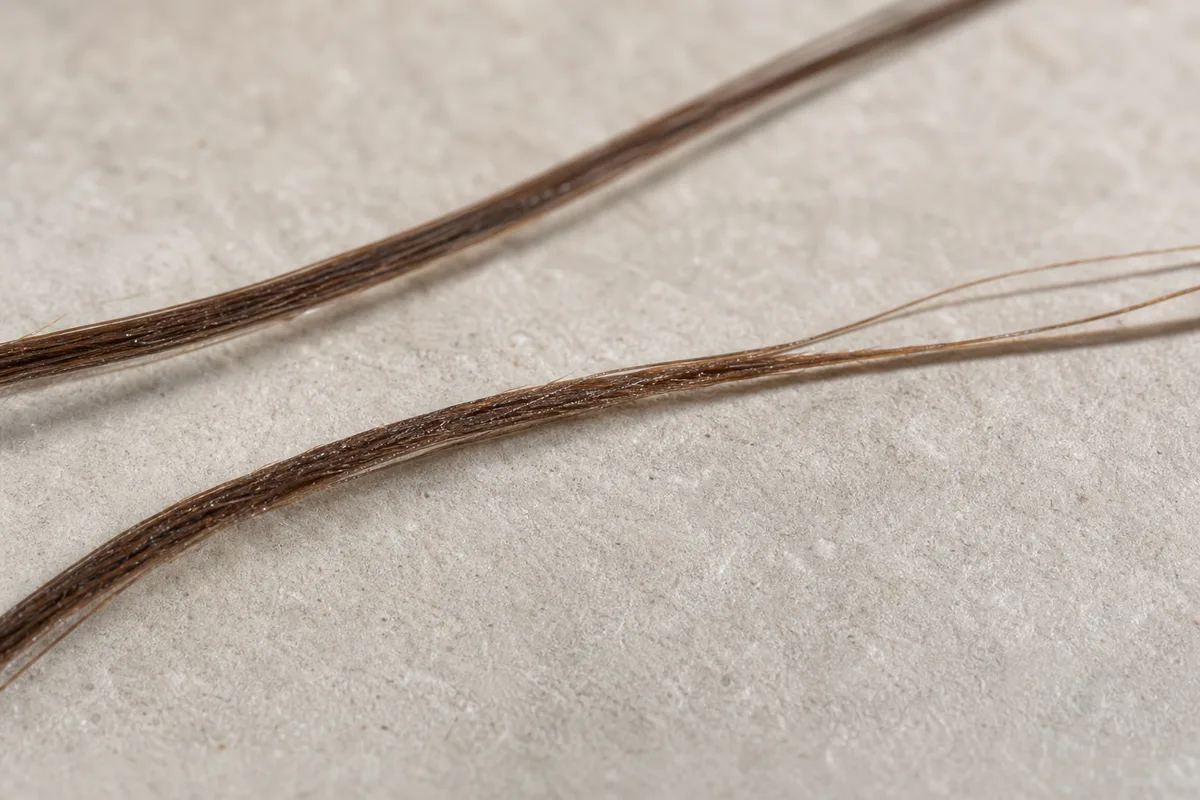 Mèche de cheveux bruns en gros plan, écailles de la cuticule visibles en lumière rasante